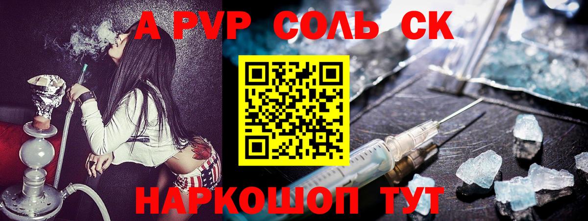 A PVP СК Североморск