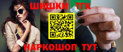 СК Гагарин