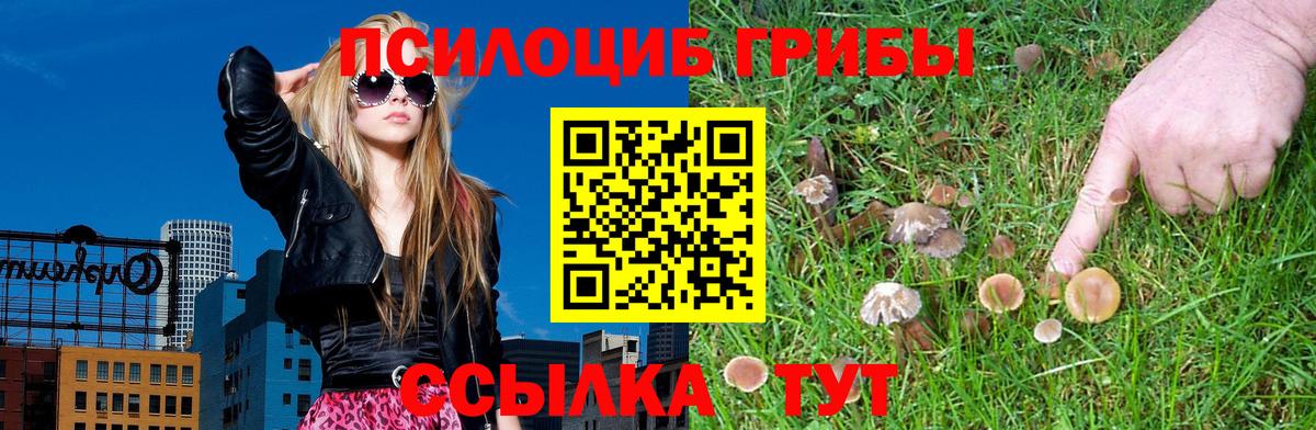 Галлюциногенные грибы мицелий Североморск